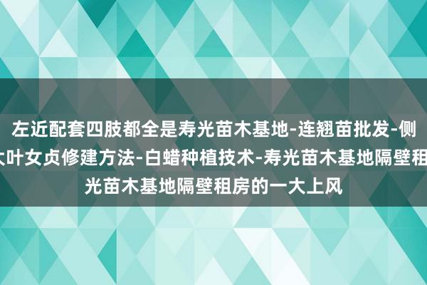 左近配套四肢都全是寿光苗木基地-连翘苗批发-侧柏树苗价格-大叶女贞修建方法-白蜡种植技术-寿光苗木基地隔壁租房的一大上风