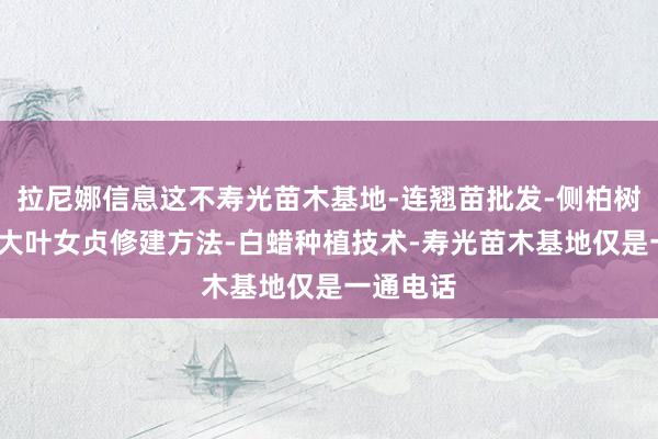 拉尼娜信息这不寿光苗木基地-连翘苗批发-侧柏树苗价格-大叶女贞修建方法-白蜡种植技术-寿光苗木基地仅是一通电话